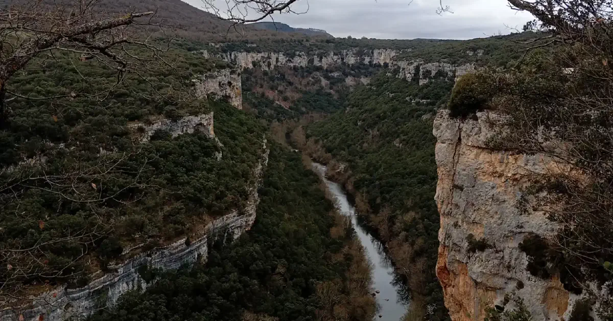 Nuevas mejoras
