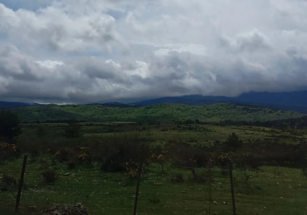 Photograph overlooking the Sierra de la Demanda, with an overcast sky, low clouds, and a green meadow dotted with white flowers.
